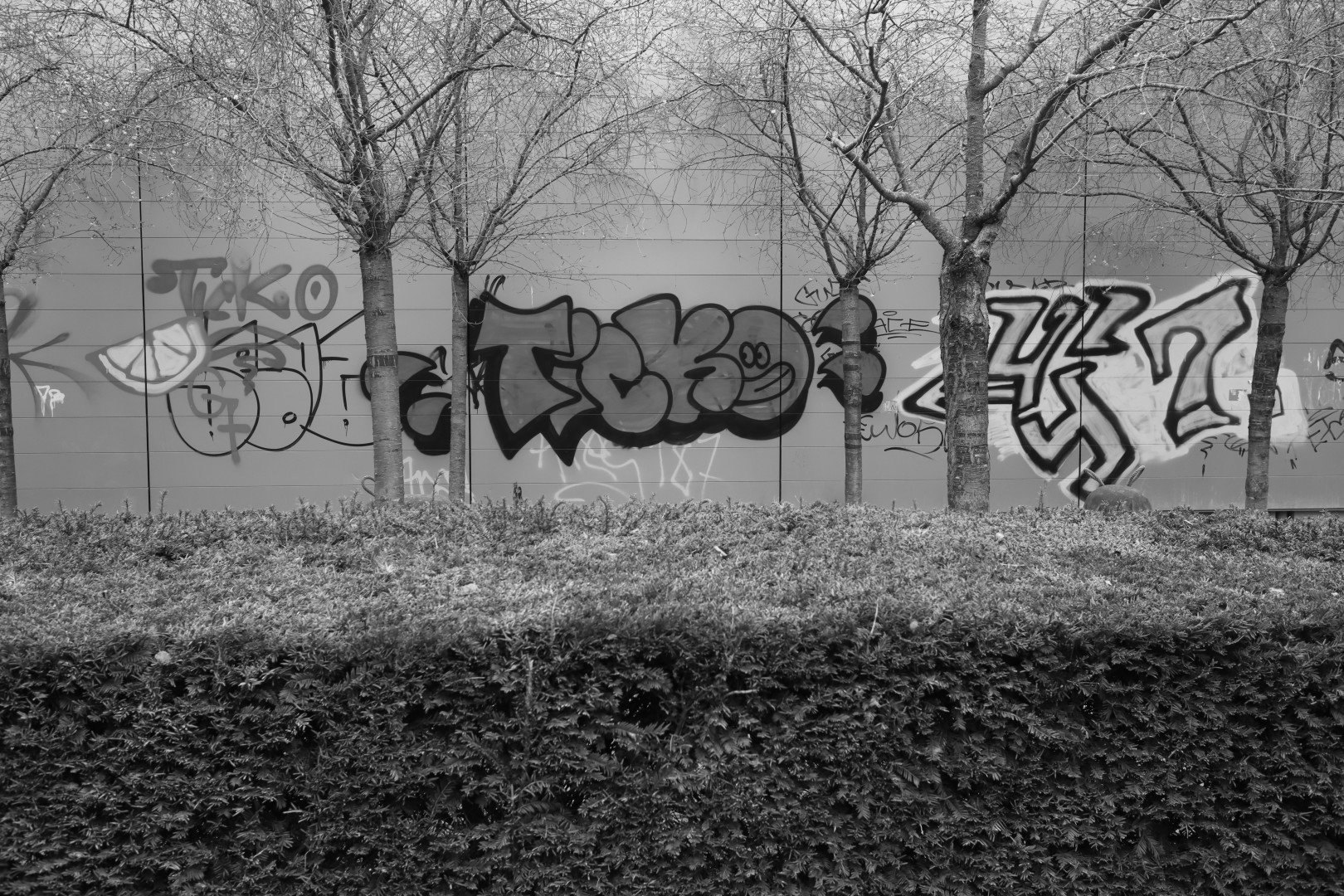 wall of graffitti