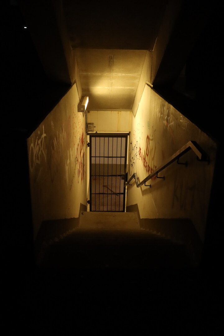 into the dark