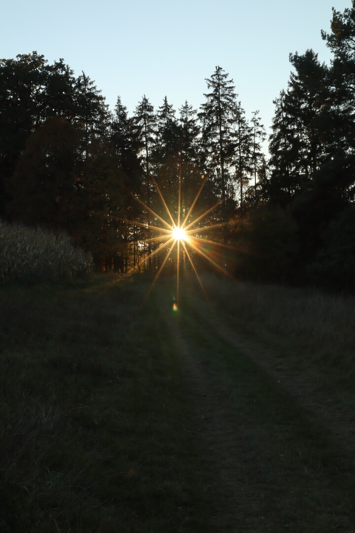 sunstar