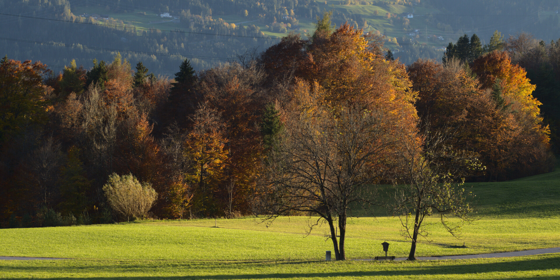 autumn