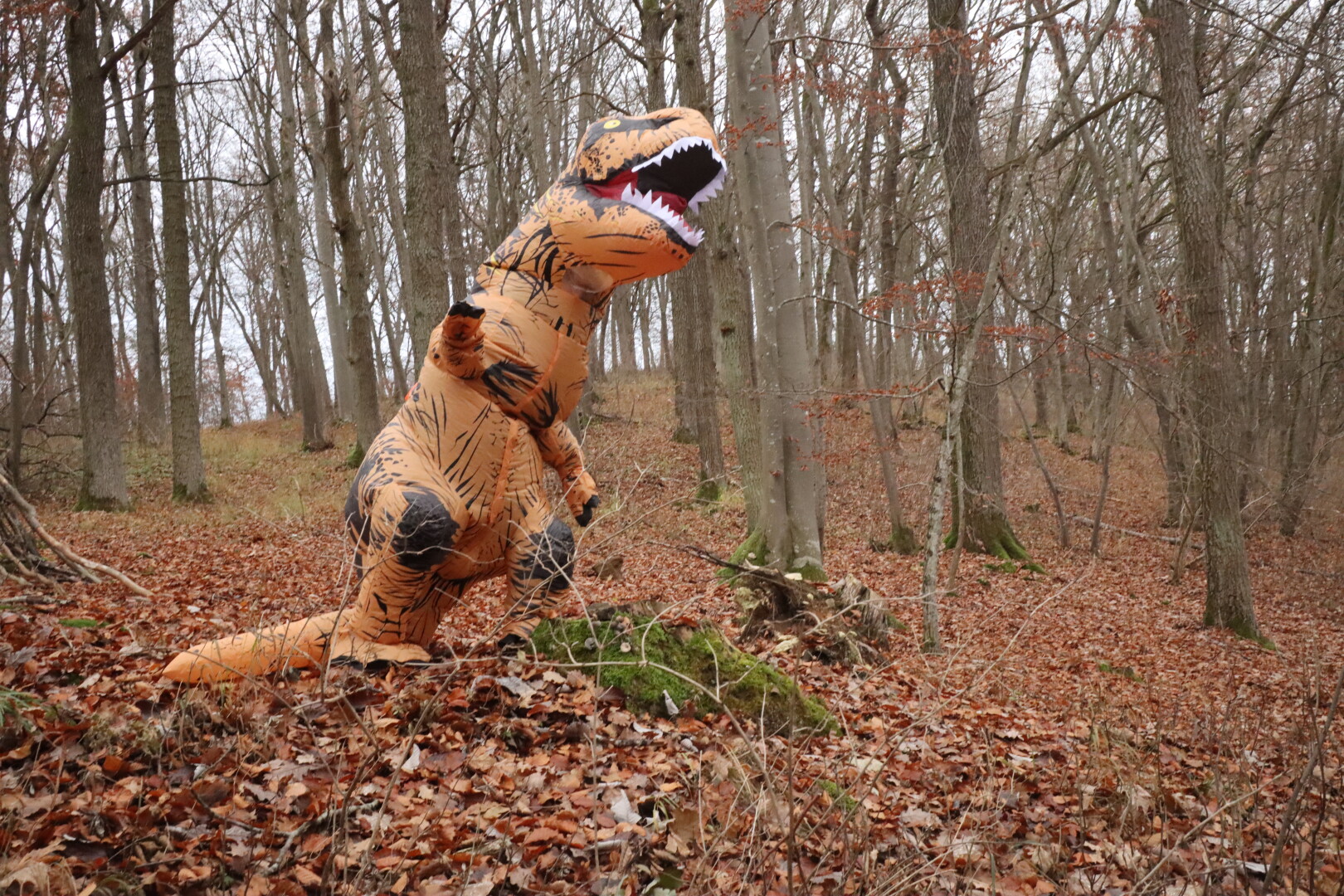 trex