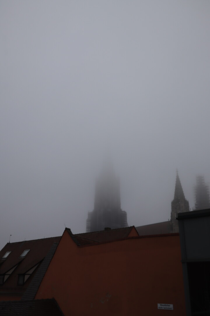 fog