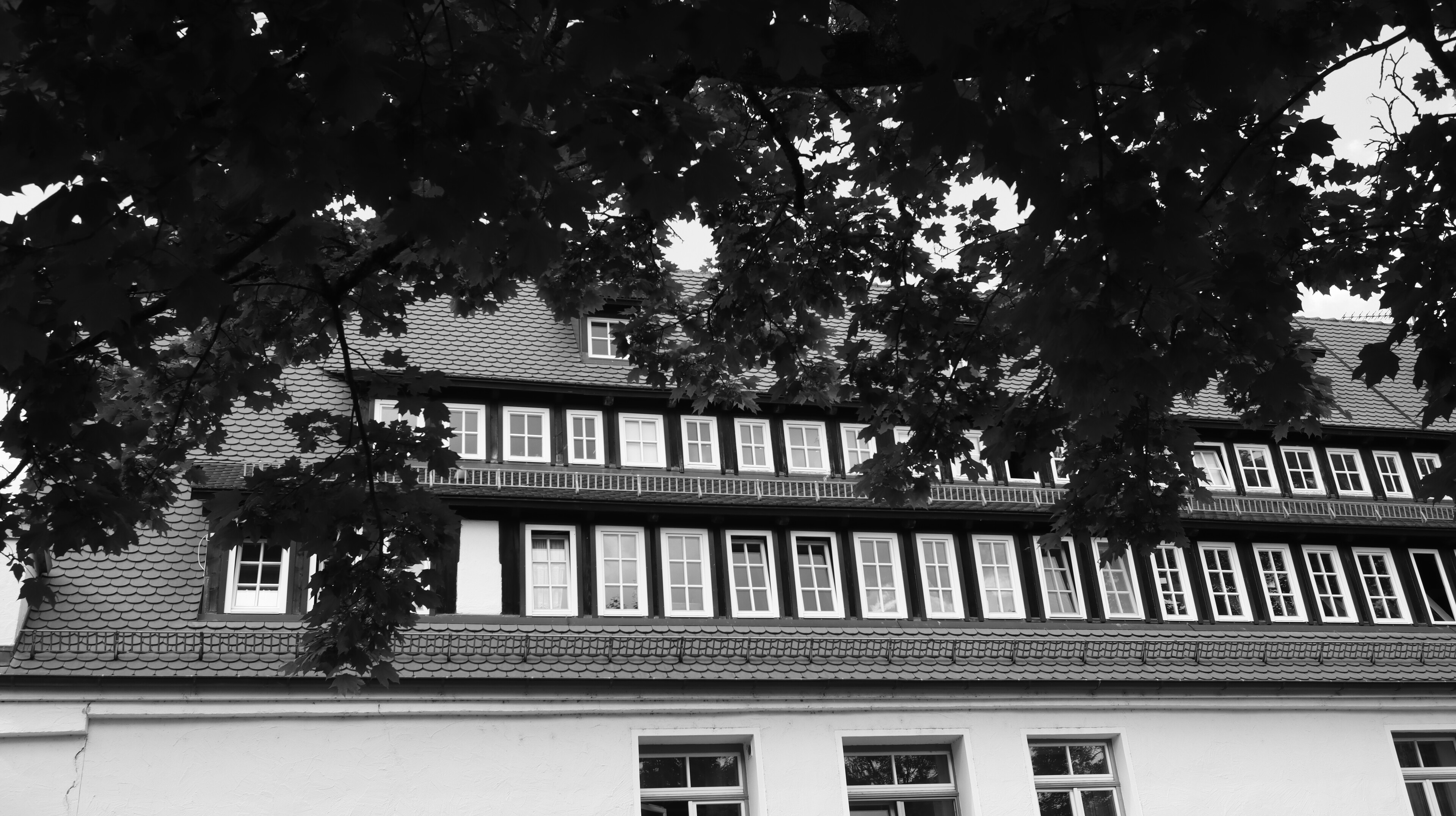 fenster