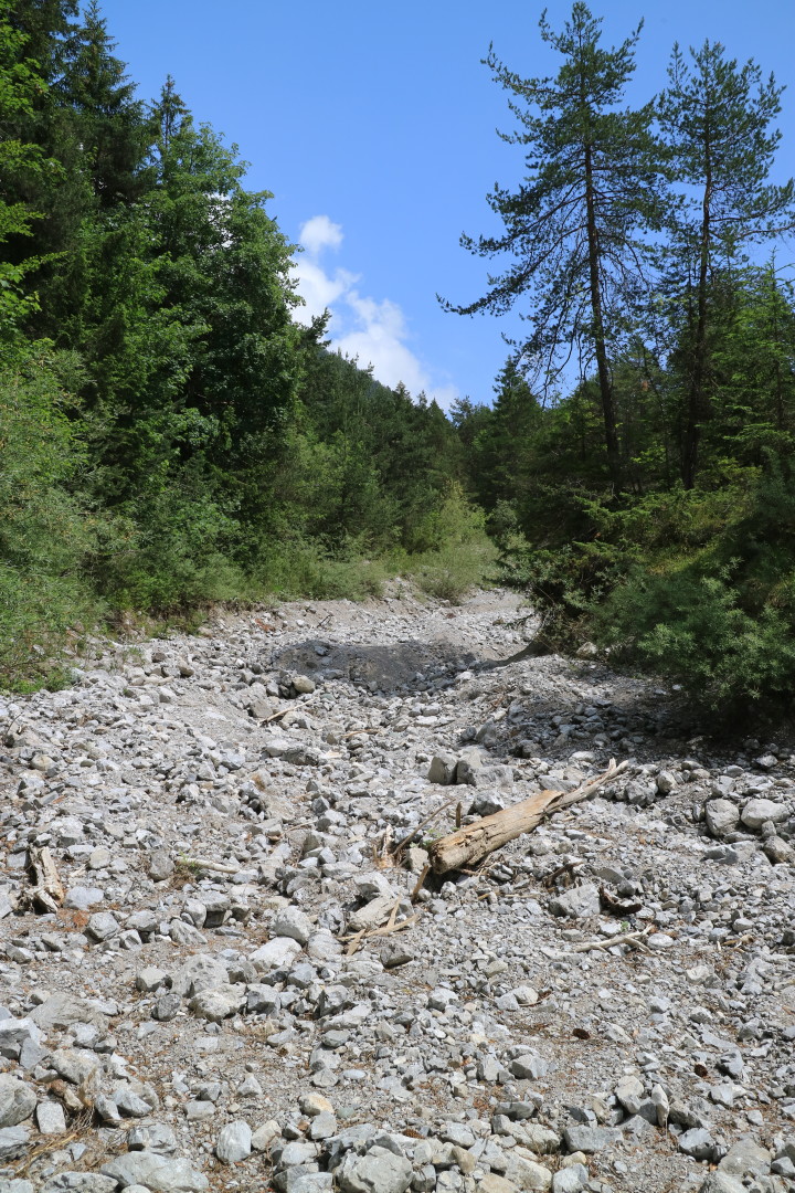 creekbed