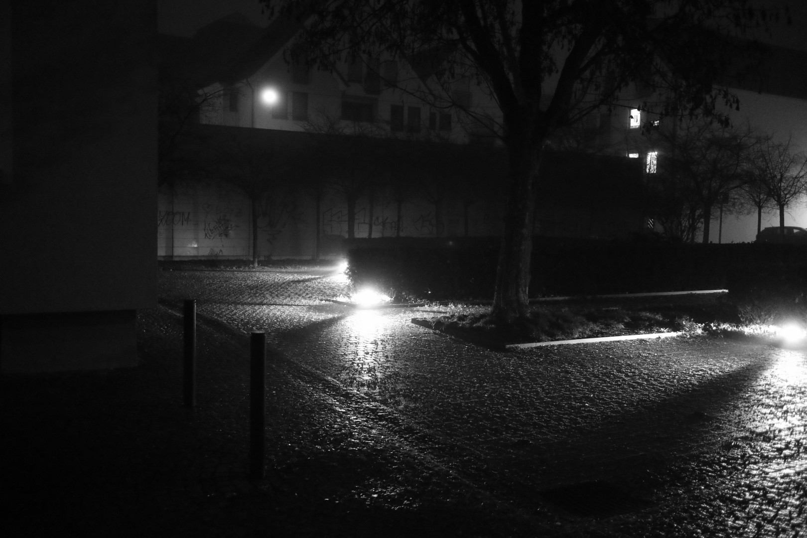 park in the dark